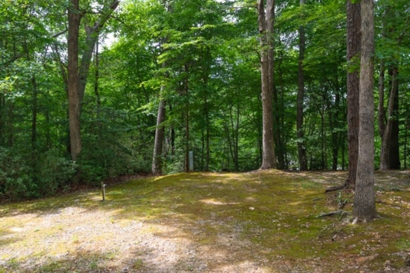 Rustic Tent - Lower-2